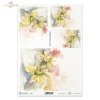 kwiat, ogród, łąka, wiosna, autorka grafiki Maria Kopeć, R911, flower, garden, meadow, spring, Blume, Garten, Wiese, Frühling, flor, jardín, prado, primavera
